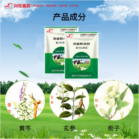 17e05e916cb0a115db578e64b58575e9_u=2160149878,1307358529&fm=199&app=68&f=JPEG_w=480&h=480&s=7A535E98400B76EA16E9DC4C0300C0FD.jpg